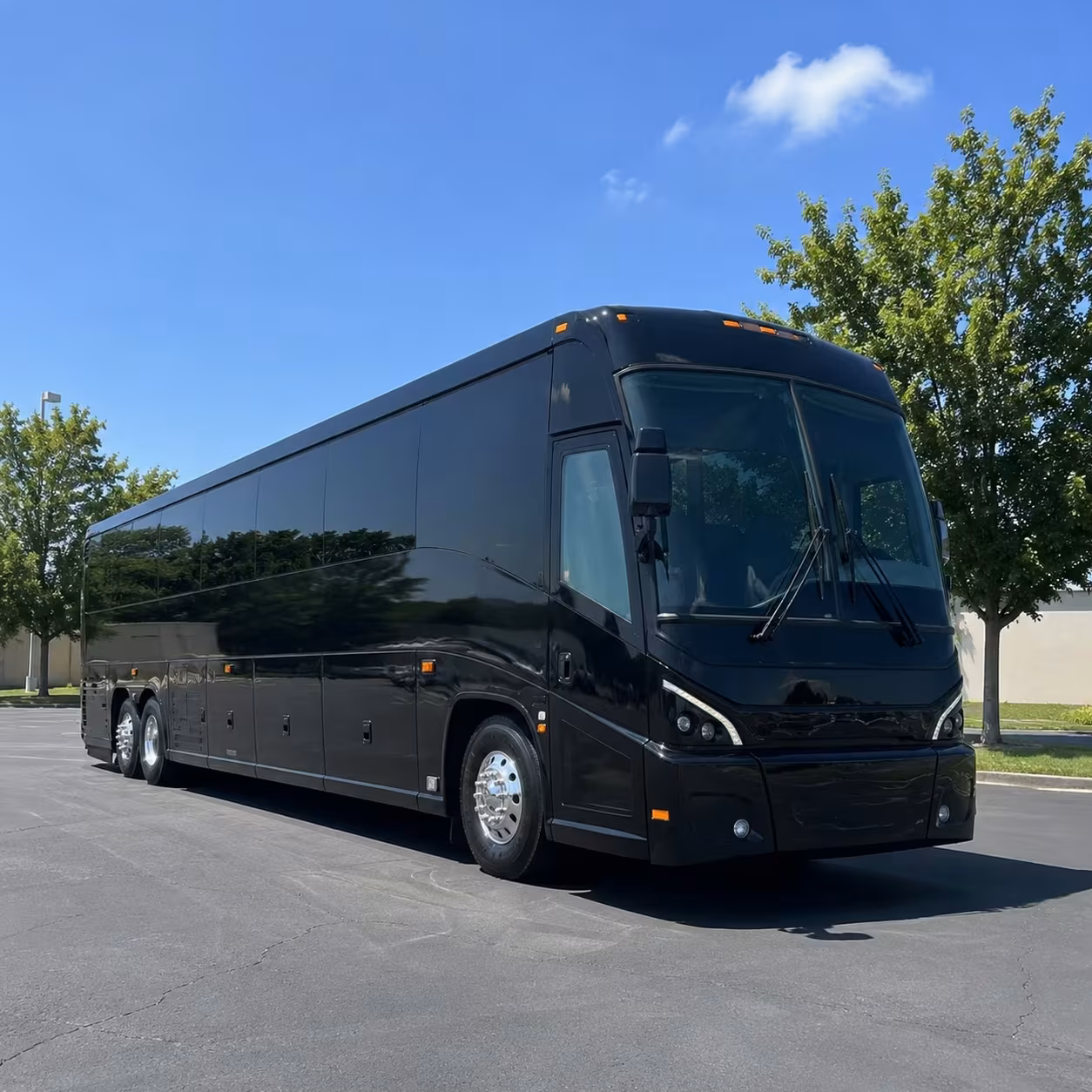 vista emergency management and training event transportation