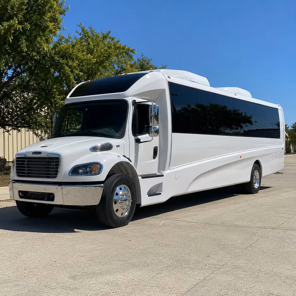 youth group and vbs minibus rentals in vista