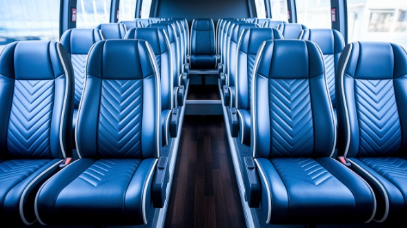 vista 18 passenger minibus rental