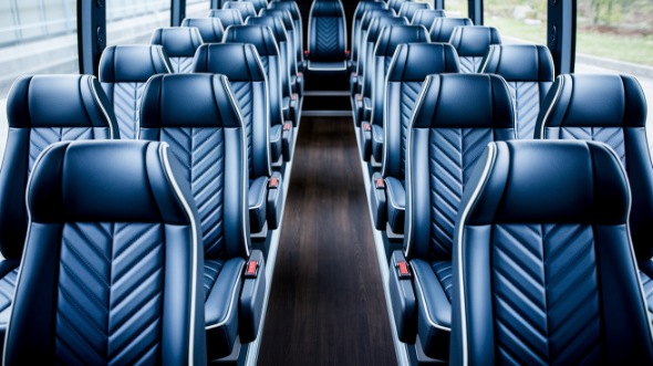vista 20 passenger minibus rental