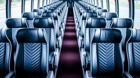 vista 54 passenger charter bus rental
